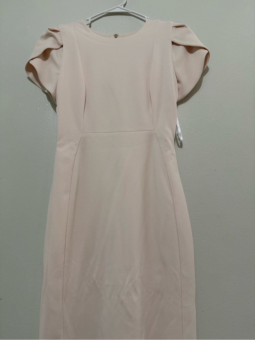 Calvin Klein Pale Blush Puff Sleeve Sheath Dress